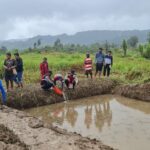 7034c0d2-63b8-4bd7-a332-1cfd488ec2a4