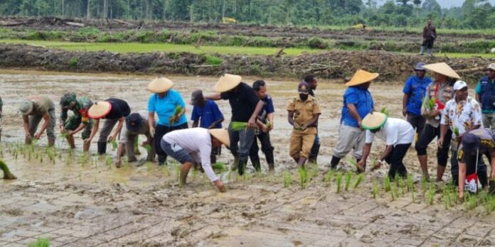 Kodim beserta petani