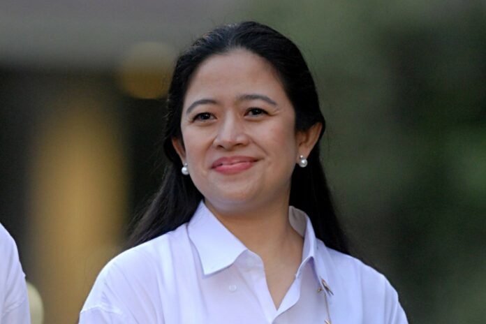 Ketua DPR Puan Maharani