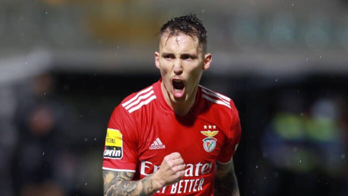 Juventus, Alex Grimaldo, Inter, Spanyol, Benfica, Liga Champions, Berita Juventus, Berita Bola, Rumor Transfer
