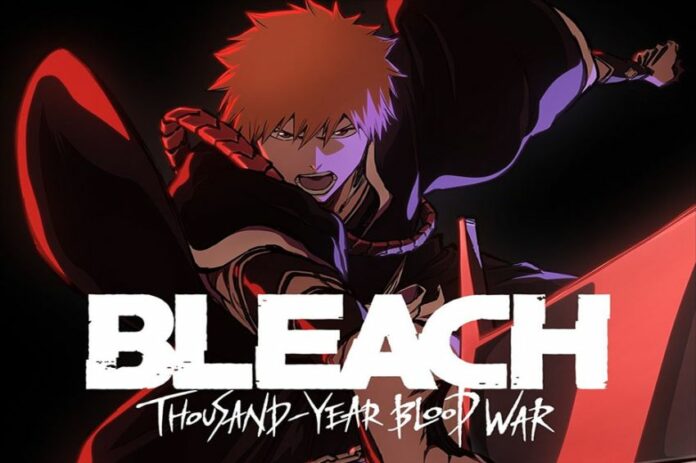Bleach, Anime