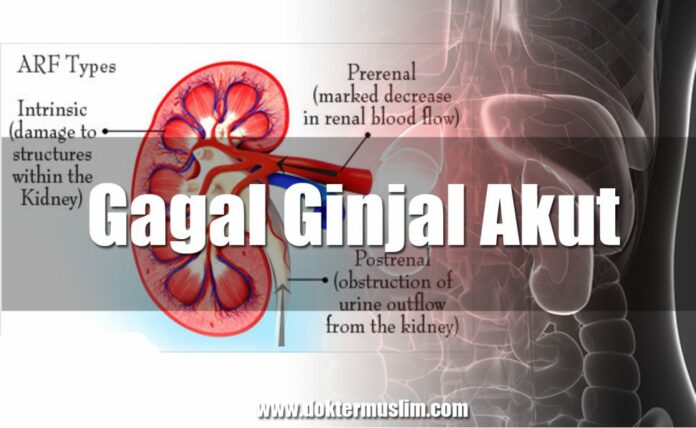 Kasus Gagal Ginjal Akut Misterius, Gagal Ginjal Akut Pada Anak, AKI, Penyebab Gagal Ginjal Akut Pada Anak