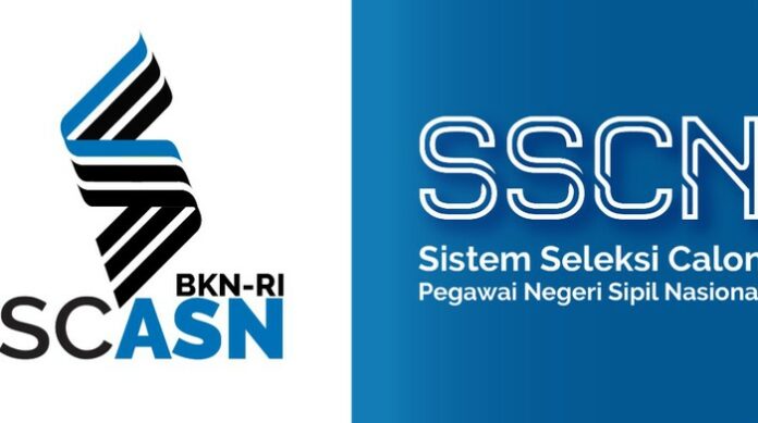 SSCASN 6 1022 SSCASN, SSCASN BKN GO, Daftar PPPK, PPPK 2022, SSCASN BKN GO, PPPK Tenaga Kesehatan, PPPK Nakes 2022, PPPK 2022,
