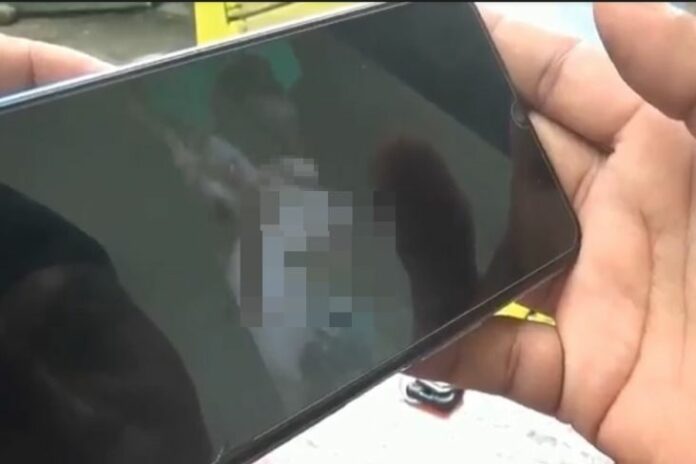 Video Viral TKW, Video Viral TKW di Tik-Tok, Video Viral, Tiktok, Telegram, Twitter