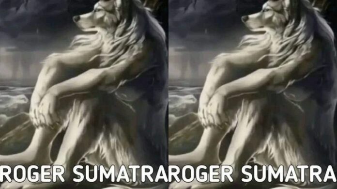 Roger Sumatera, Istilah Roger Sumatera, Viral, Media Sosial, Istilah, Fak Unik, Meme Roger Sumatera, Meme