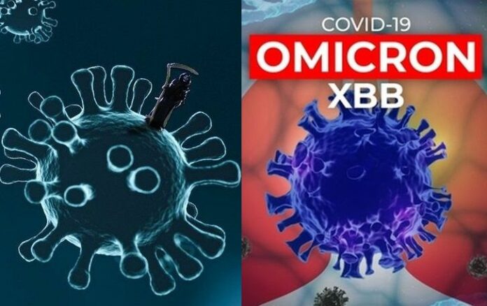 PPKM, PPKM Level 1, Perpanjangan PPKM, Jawa Bali, Luar jawa Bali, Covid, Omicron XBB, Virus Corona