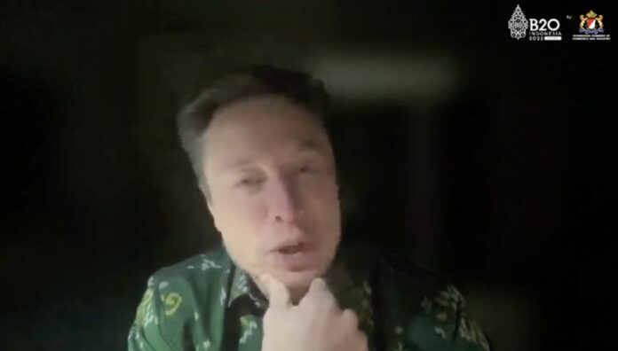 elon musk, batik bomba