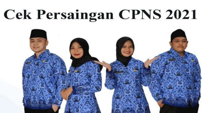 Jurusan CPNS 2023 15 1222 CPNS 2023, PNS, Peluang, 2023, Pendaftaran CPNS 2023