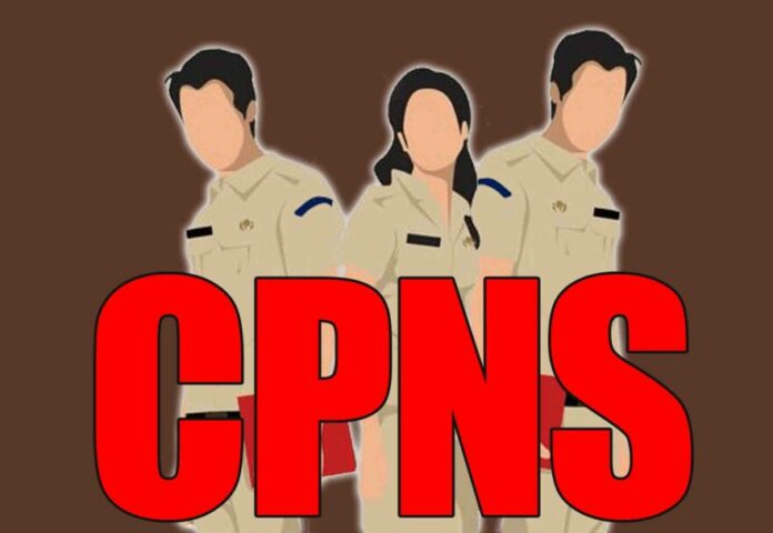 Pendaftaran CPNS 2023 14 1222 CPNS, PNS< CPNS 2023, 2023, Pendaftaran CPNS, Formasi CPNS, Jurusan Kuliah