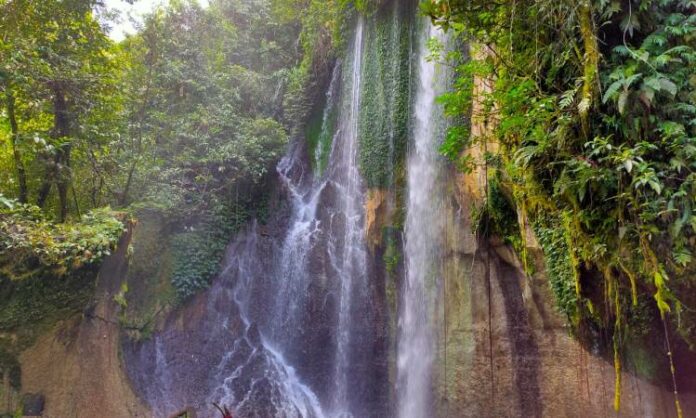 Air Terjun Sasnek Air Terjun Sasnek, Sorong Selatan, Papua