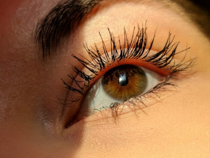 Bulu Mata Bulu Mata, Lash lift dan lash extension