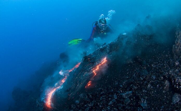 Gunung Bawah Laut, Flores, Coral, Bebatuan